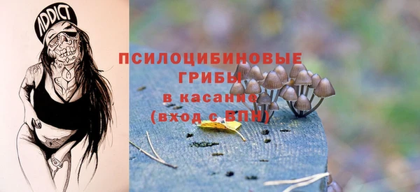 ПСИЛОЦИБИНОВЫЕ ГРИБЫ Бронницы