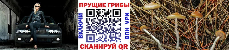 Псилоцибиновые грибы ЛСД  Демидов 